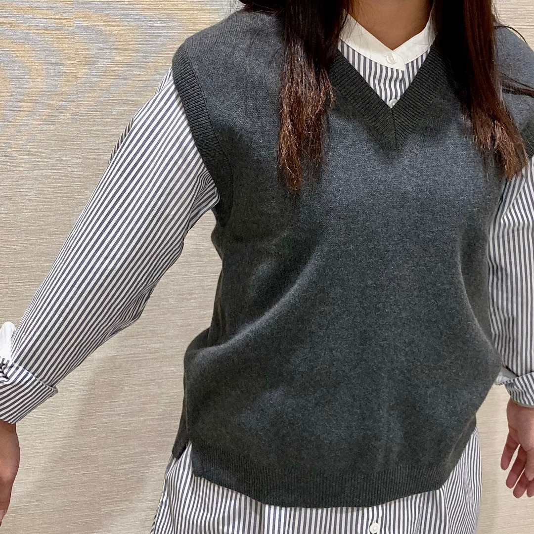 東武動物公園駅前】婦人 洗えるニットVネックベスト 洗えるニット